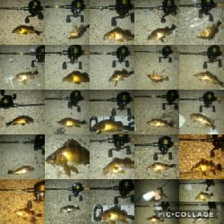 マイクロワインド炸裂